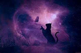 Image result for Purple Cat Galaxy