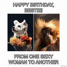 Image result for Bestie Birthday Meme