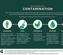 Image result for Types of Food Contamination