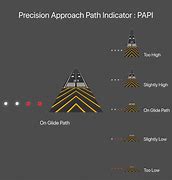 Image result for Papi Lights Chart
