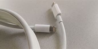 Image result for Apple Plug