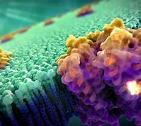 Image result for Cell Theory Background