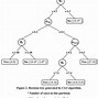 Image result for Binary Decision Tree