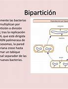 Image result for bipartici�n