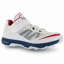 Image result for Navy Cricket Shoes