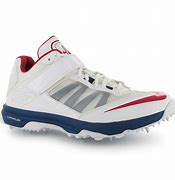 Image result for Cricket Shoes