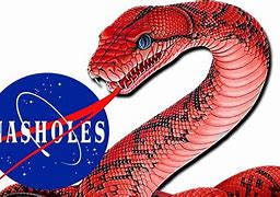 Image result for NASA Serpent Logo