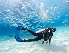 Image result for Diver in the Ocean