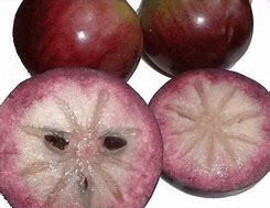 Image result for Rare Apple's