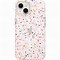 Image result for Otter Case for iPhone 13