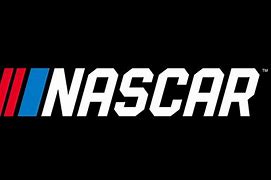 Image result for NASCAR 13 Logo