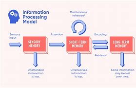 Image result for Memory Processing Model