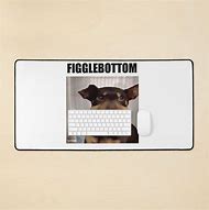 Image result for Figglebottom Dog Meme