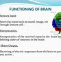 Image result for Blue Brain Technology Pictures