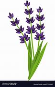 Image result for Lavender Icon