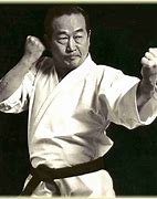 Image result for Karate