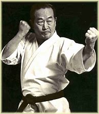 Image result for Karate Sensei