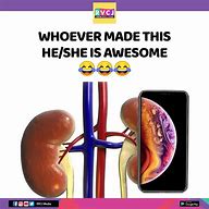 Image result for Funny Kidney Jokes