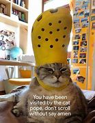 Image result for Cat in Water Meme