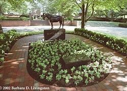 Image result for Seattle Slew Burial Site