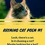 Image result for Loving Cat Quotes