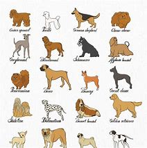 Image result for Cool Dog Breeds