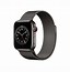 Image result for Apple Watch S4