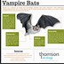 Image result for Bat Species Chart