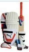 Image result for SG Cricket Kit