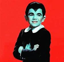 Image result for Butch Patrick as Eddie Munster