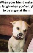 Image result for Pinky and the Brain Meme Angry
