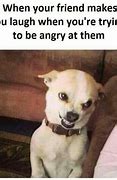 Image result for Angry Jokes