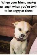 Image result for Anger Video Meme