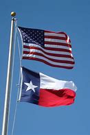 Image result for Armadillo Texas Flag