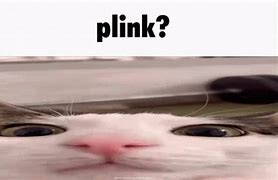 Image result for Crunchy Cat Meme