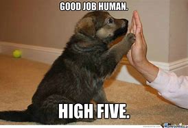 Image result for Great Job Puppy Meme