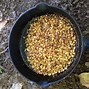 Image result for Parched Corn