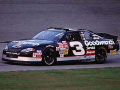 Image result for Dale Earnhardt Extrication