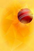 Image result for Cricket Photos HD
