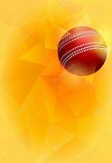 Image result for Cricket Background Vector X Design