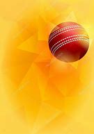 Image result for Cricket Tournament Background