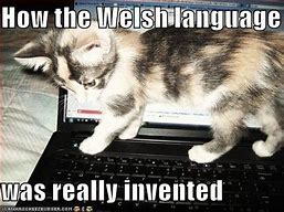 Image result for Welsh Language Memes