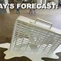 Image result for I Hate the Heat Meme