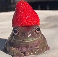 Image result for Peppy Frog