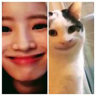 Image result for Da Hyun Cat Meme