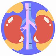 Image result for iPhone Kidney Meme