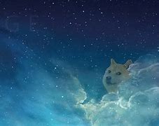 Image result for Galaxy Doge 1080