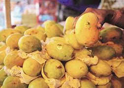 Image result for Fruits of Andhra Pradesh