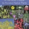 Image result for Photos of Florida Flowers and native plants