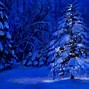 Image result for Merry Christmas Nature Scenes